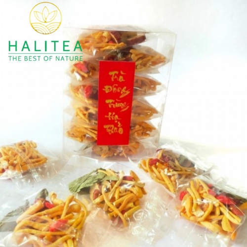 Trà Đông Trùng Hạ Thảo HALITEA Hộp Kiếng 10 Gói