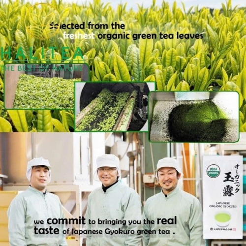 Trà Gyokuro Organic Otsuka Green Nhật Bản – Lá Rời 50g
