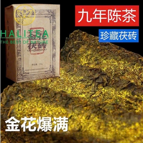 Trà Hắc Trà An Hóa Phục Trà Kim Hoa 2015 Bánh Trà 1kg