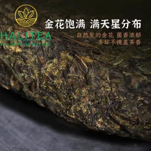 Trà Hắc Trà An Hóa Phục Trà Kim Hoa 2015 Bánh Trà 1kg