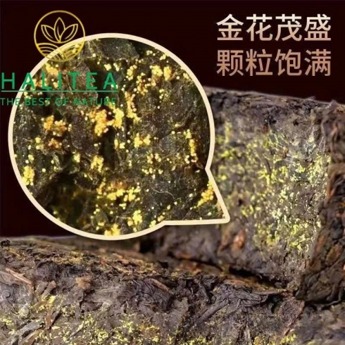 Trà Hắc Trà An Hóa Phục Trà Kim Hoa 2015 Bánh Trà 1kg