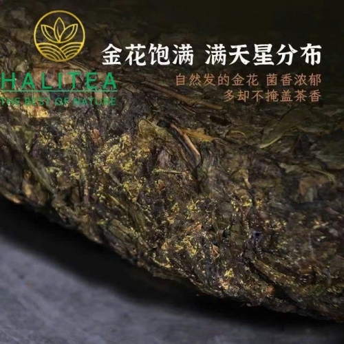 Trà Hắc Trà An Hóa Phục Trà Kim Hoa 2015 Bánh Trà 1kg