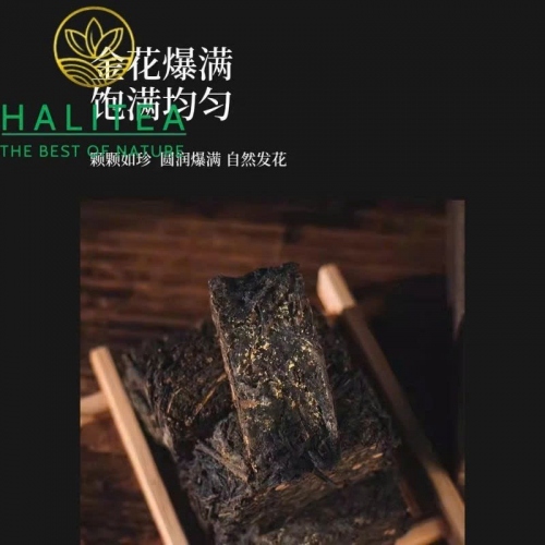 Trà Hắc Trà Kim Hoa Phục Gạch Dạng Viên An Hóa 2015 – Túi Vải 500g
