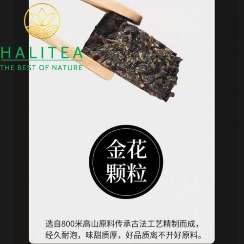 Trà Hắc Trà Kim Hoa Phục Gạch Dạng Viên An Hóa 2015 – Túi Vải 500g