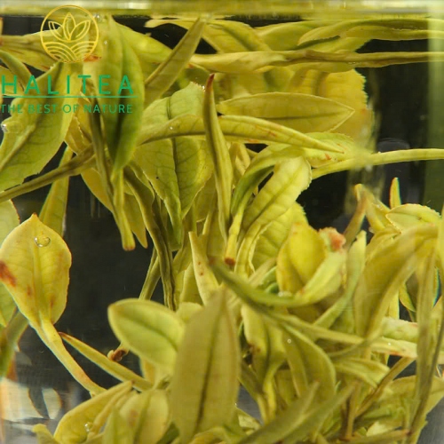 Trà Hoàng Sơn Mao Phong – Hộp Thiếc 100g