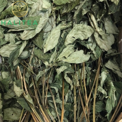 Trà Lá Sâm Ngọc Linh Sấy Khô Hũ 100gr