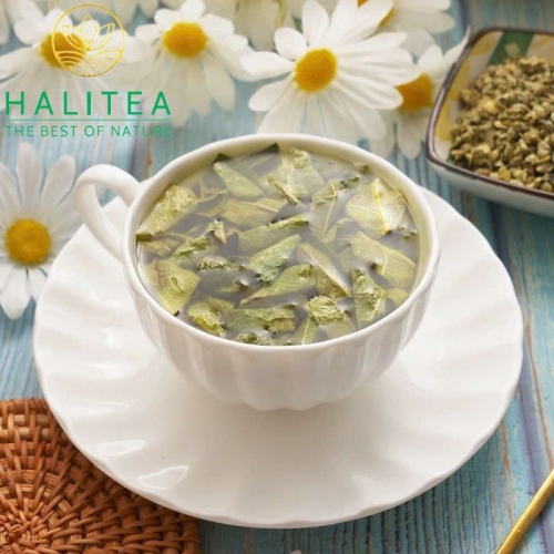Trà Lá Sen HALITEA Cuộn Viên Sấy Khô Hũ 500gr