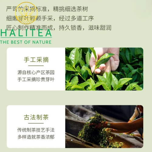 Trà Long Tĩnh Hàng Châu Chiết Giang – Hộp Thiếc 50g