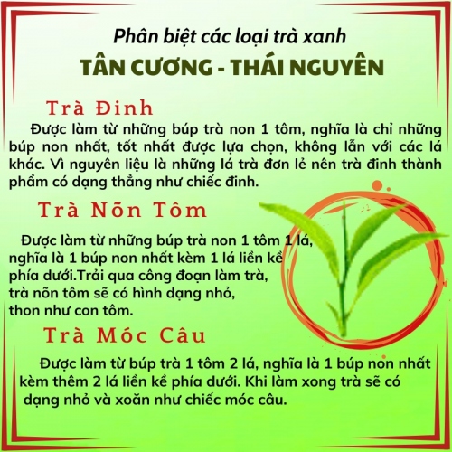 Trà Móc Câu Truyền Thống Tân Cương Thái Nguyên