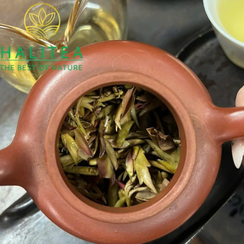 Trà Móng Rồng Tím Vân Nam Dã Sinh Tử Nha Bào Cổ Thụ – Hộp Thiếc 50g