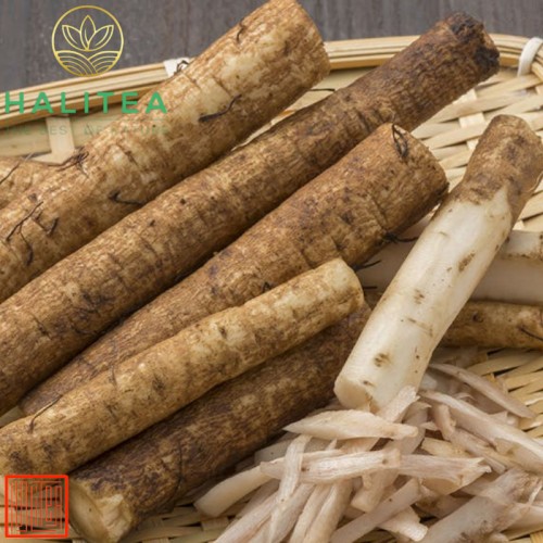 Trà Ngưu Bàng Hũ Pet 100gr