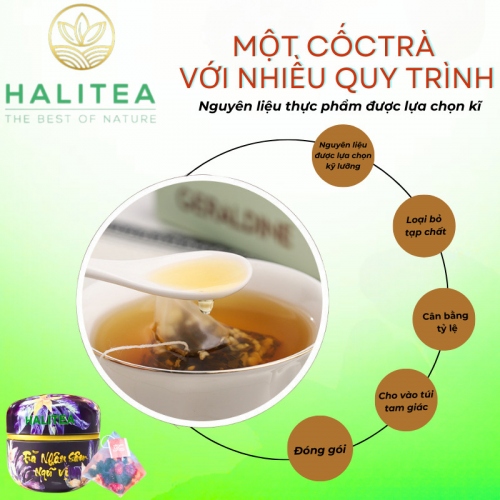 Trà Nhân Sâm Ngũ Vị HALITEA Túi Tam Giác Hộp Thiếc 50gr/ hộp/ 10 túi