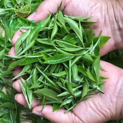 Trà Nõn Tôm HALITEA Cao Cấp Hộp Thiếc 280gr - Set Quà Tặng Lễ Tết