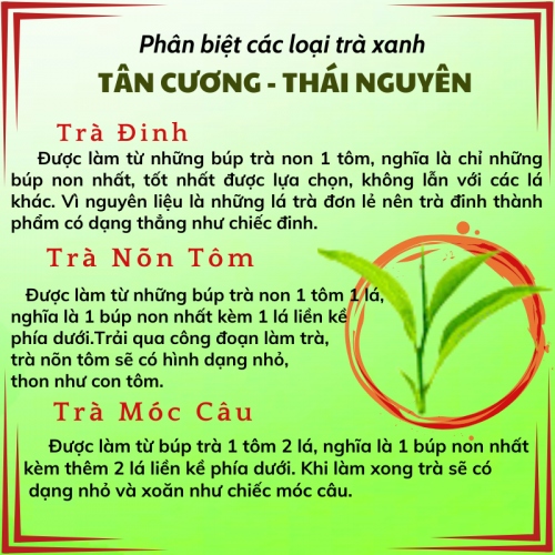 Trà Nõn Tôm Tân Cương Thái Nguyên Thượng Hạng Hộp Kiếng Gói 10gr