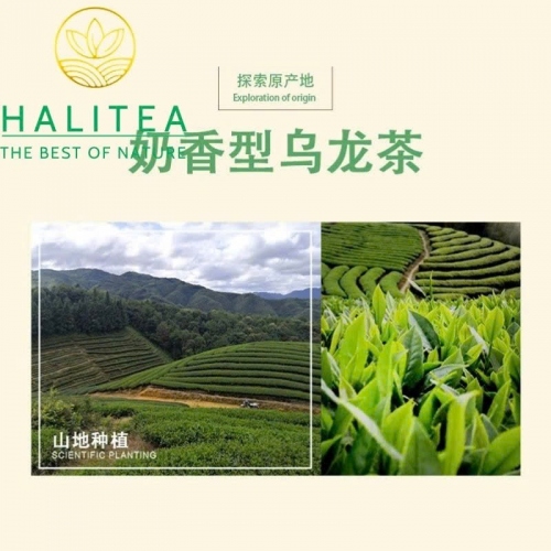 Trà Ô Long Alishan Đài Loan (Alishan Oolong Tea) – Túi 150g
