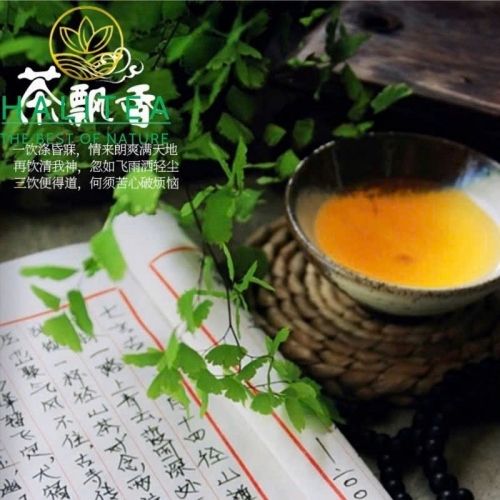 Trà Ô Long Alishan Đài Loan Cao Sơn (Alishan Oolong Tea) – Hộp Kiếng 250g