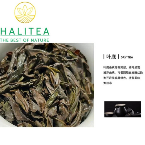 Trà Ô Long Phượng Hoàng Đơn Tùng Mật Lan Hương Quảng Đông – Hộp Kiếng 170g