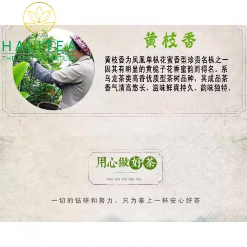 Trà Ô Long Triều Châu Gói Giấy 250gr
