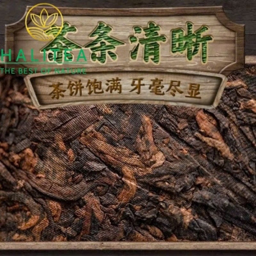 Trà Phổ Nhĩ Chín Cổ Thụ Băng Đảo Hữu Cơ 2008 – Bánh 357g
