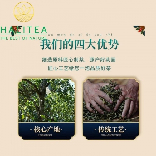 Trà Phổ Nhĩ Chín Mãnh Hải Vân Nam Hộp Gỗ Cao Cấp Bánh 357gr