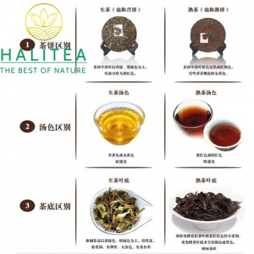Trà Phổ Nhĩ Chín (Qing Feng Xiang) Thanh Phong Tường 2021 Trân Tàng 3 – Bánh 357g