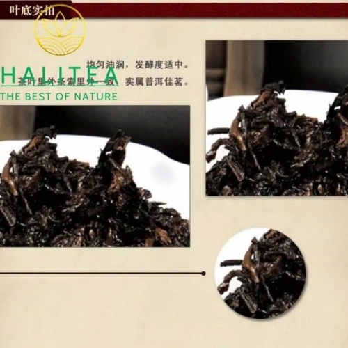 Trà Phổ Nhĩ Chín (Qing Feng Xiang) Thanh Phong Tường 2021 Trân Tàng 3 – Bánh 357g