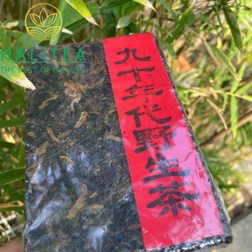 Trà Phổ Nhĩ Chín Thập Niên 1990 Cổ Thụ Ban Chương Mãnh Hải – Trà Gạch 250g
