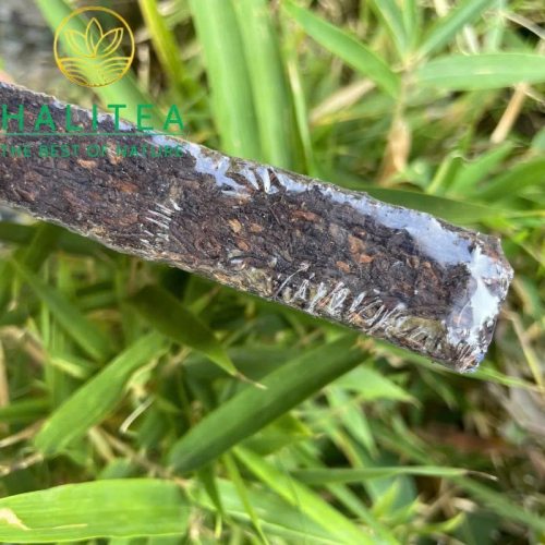 Trà Phổ Nhĩ Chín Thập Niên 1990 Cổ Thụ Ban Chương Mãnh Hải – Trà Gạch 250g