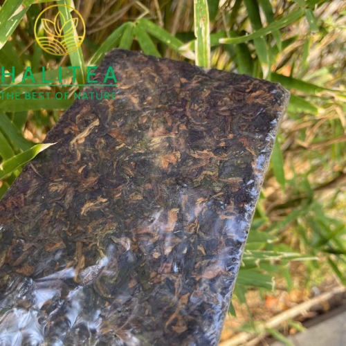 Trà Phổ Nhĩ Chín Thập Niên 1990 Cổ Thụ Ban Chương Mãnh Hải – Trà Gạch 250g