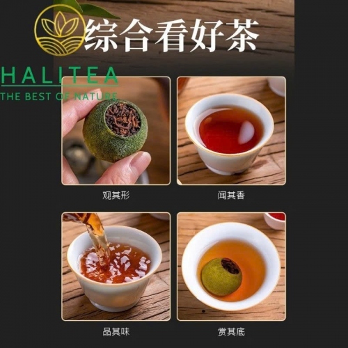 Trà Phổ Nhĩ Quýt (Tiểu Thanh Cam) Tân Hội – Hộp Quà Cung Đình Hoàng Kim 500g