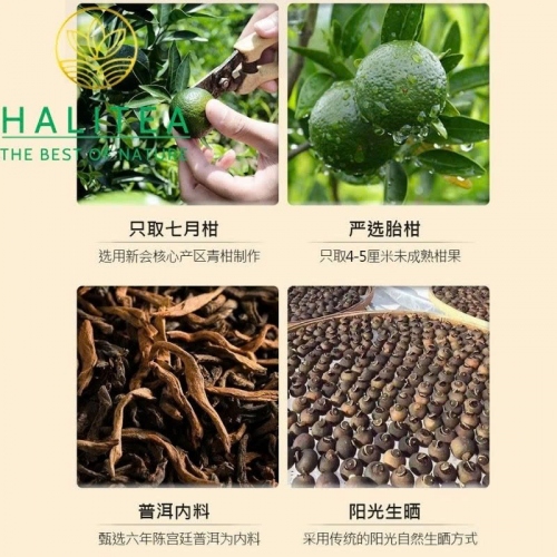 Trà Phổ Nhĩ Quýt (Tiểu Thanh Cam) Tân Hội – Hộp Quà Cung Đình Hoàng Kim 500g