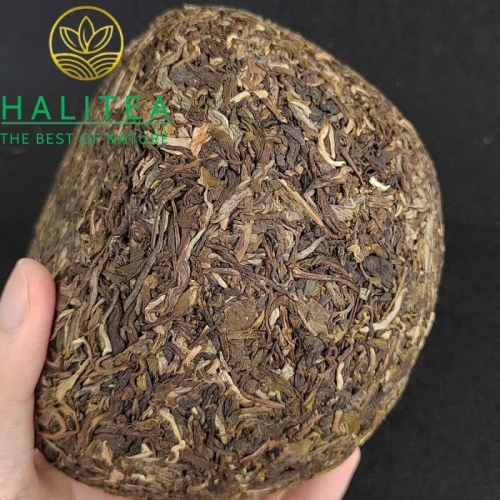 Trà Phổ Nhĩ Sống Ban Chương Long Đoàn Kim Qua 1000g