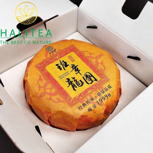 Trà Phổ Nhĩ Sống Ban Chương Long Đoàn Kim Qua 1000g