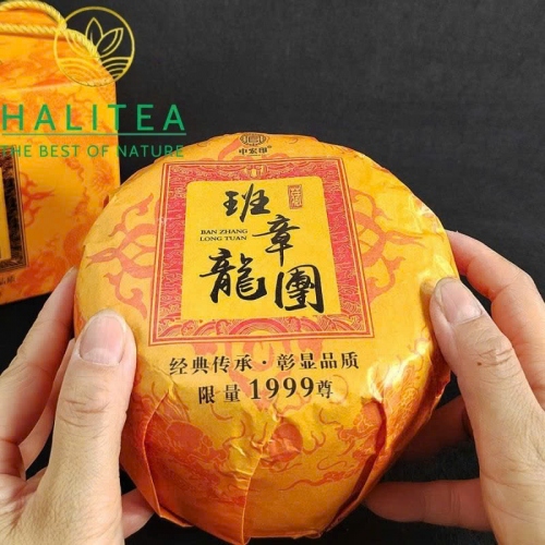 Trà Phổ Nhĩ Sống Ban Chương Long Đoàn Kim Qua 1000g