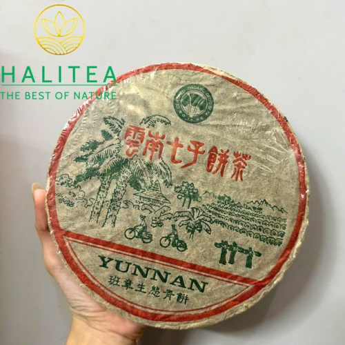 Trà Phổ Nhĩ Sống Ban Chương Sinh Thái 2004 – Thiết Bính Thất Tử 357g