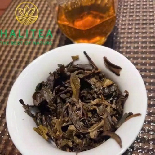 Trà Phổ Nhĩ Sống (Chen Sheng Hao) Trần Thịnh Hào 2006 – Bánh 400g