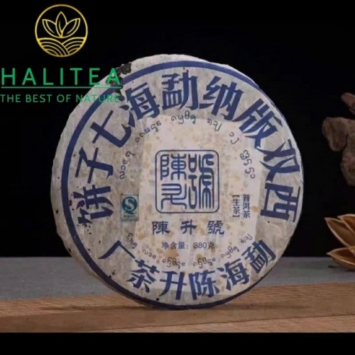 Trà Phổ Nhĩ Sống (Chen Sheng Hao) Trần Thịnh Hào Đại Lam Ấn 2008 – Bánh 400g