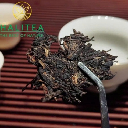 Trà Phổ Nhĩ Sống (Chen Sheng Hao) Trần Thịnh Hào Đại Lam Ấn 2008 – Bánh 400g