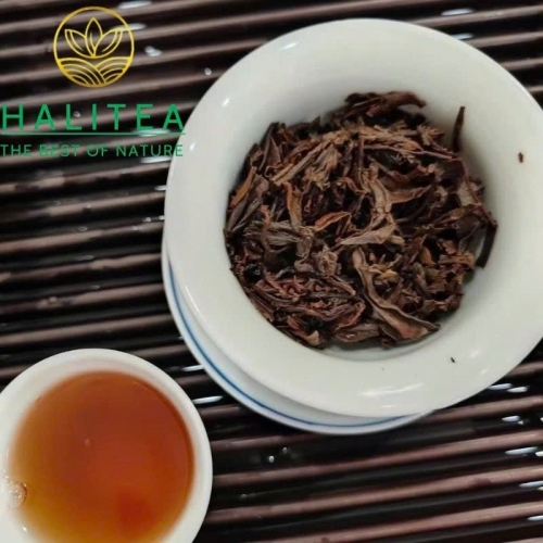 Trà Phổ Nhĩ Sống (Chen Sheng Hao) Trần Thịnh Hào Đại Lam Ấn 2008 – Bánh 400g