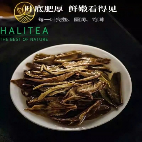 Trà Phổ Nhĩ Sống Cổ Lan Thương 007 (Lancang Gucha) Cảnh Mại Sơn 2013 – Bánh 357g
