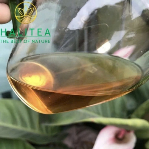 Trà Phổ Nhĩ Sống Cổ Thụ Nghĩa Ô Hiệu Trung Trà 2005 – Bánh 357g