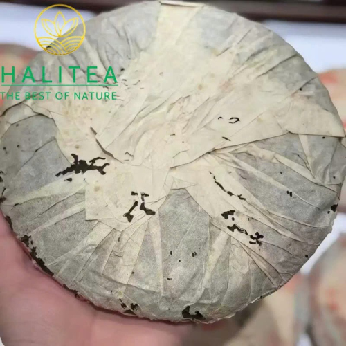 Trà Phổ Nhĩ Sống Đại Ích 7542 Hồng Đại Ích 2003 – Mãnh Hải 357g