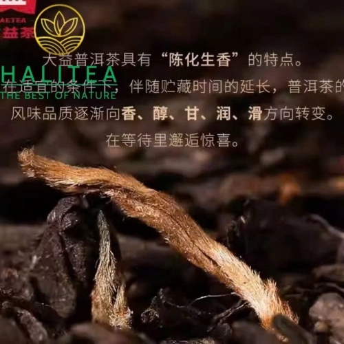 Trà Phổ Nhĩ Sống Đại Ích (Dayi – 8542) 2013 – Bánh 357g