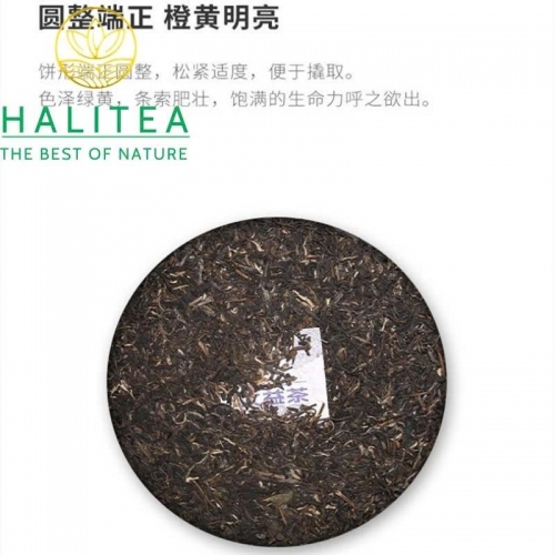 Trà Phổ Nhĩ Sống Đại Ích (Dayi – TAETEA) 2023 - Hộp Quà Tặng Bánh 357g