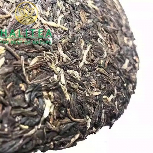 Trà Phổ Nhĩ Sống Đại Ích (Dayi – TAETEA) 2023 - Hộp Quà Tặng Bánh 357g