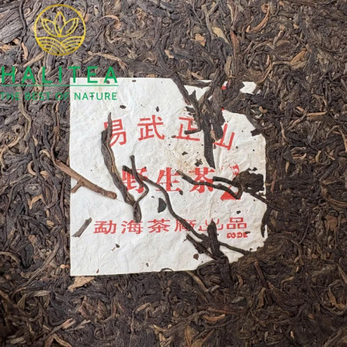 Trà Phổ Nhĩ Sống Dịch Vũ Chính Sơn 2003 – Lục Đại Thụ Đại 2 Đặc Cấp 357gr