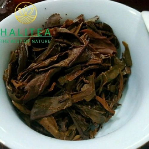 Trà Phổ Nhĩ Sống Hữu Cơ Kim Giải Cổ Thụ Ban Chương 2003 – Bánh 100g
