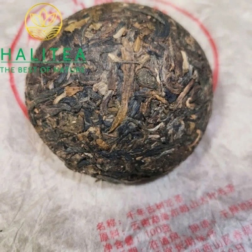 Trà Phổ Nhĩ Sống Hữu Cơ Kim Giải Cổ Thụ Ban Chương 2003 – Bánh 100g
