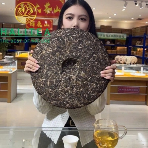 Trà Phổ Nhĩ Sống Kim Khổng Tước (Jin Kong Que) 2023 - Bánh 3kg