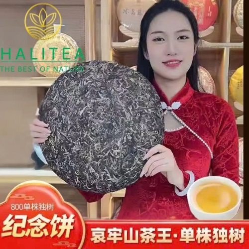 Trà Phổ Nhĩ Sống Kim Khổng Tước (Jin Kong Que) 2023 - Bánh 3kg